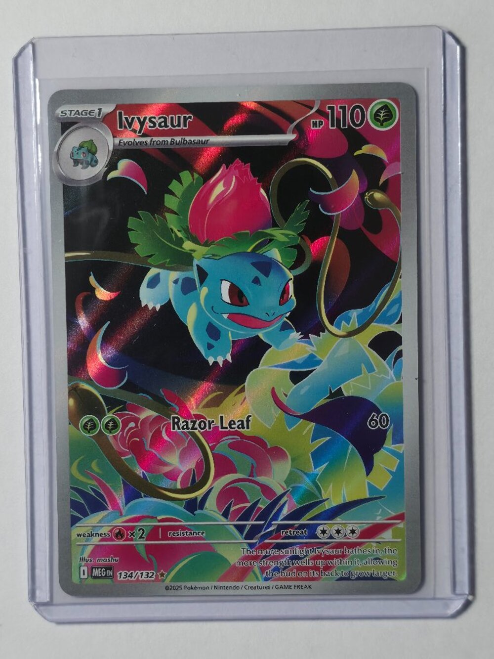 Pokémon TCG - Ivysaur - Mega Evolution - Illustration Rare - 134/132